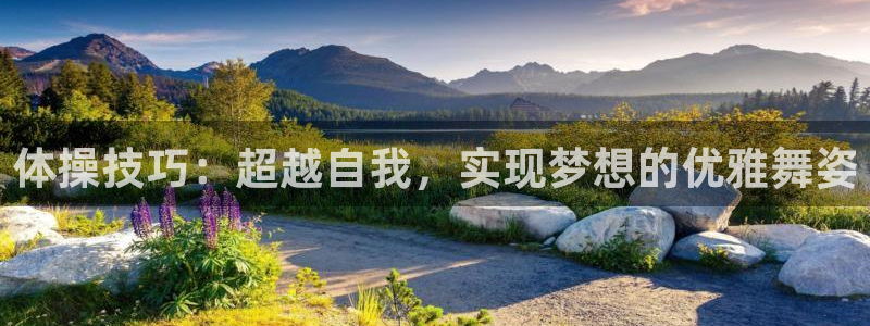 关键词：体操技巧：超越自我，实现梦想的优雅舞姿