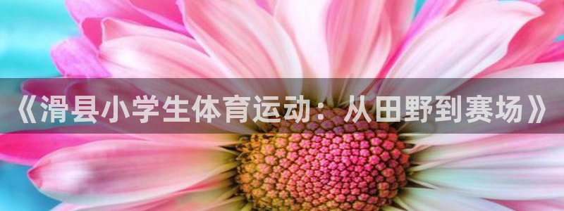 抖球体育app手机版免费：《滑县小学生体育运动：从田野到赛场》