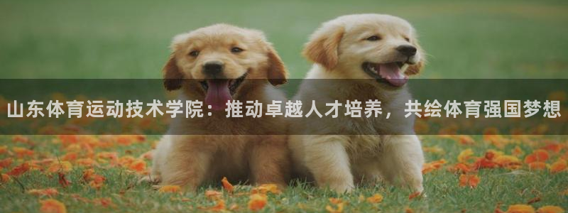 抖球体育：山东体育运动技术学院：推动卓越人才培养，共绘体育强国梦想
