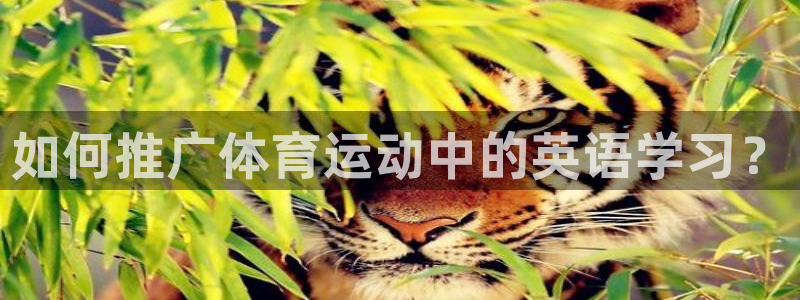 抖球体育app手机版免费：如何推广体育运动中的英语学习？