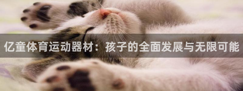 抖球体育app手机版免费：亿童体育运动器材：孩子的全面发展与无限可能