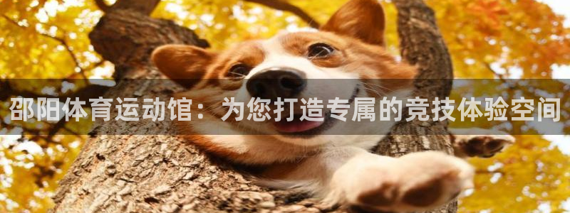 抖球体育app手机版免费：邵阳体育运动馆：为您打造专属的竞技体验空间
