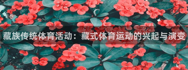 抖球体育：藏族传统体育活动：藏式体育运动的兴起与演变