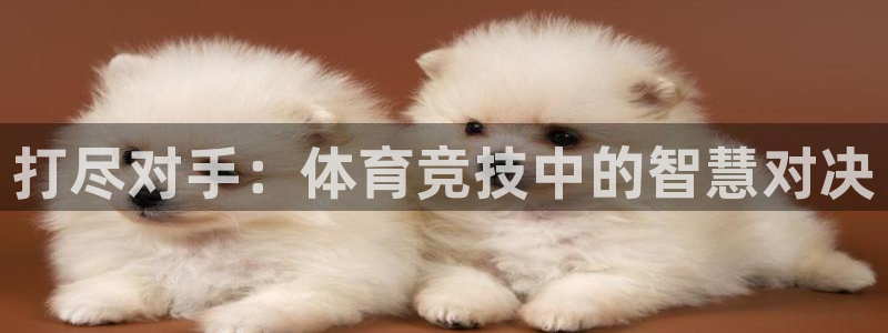 关键词：打尽对手：体育竞技中的智慧对决